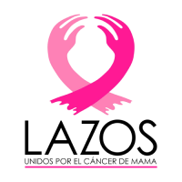 Fundación Lazos Unidos Chile